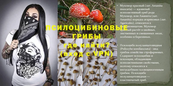 a pvp Беломорск
