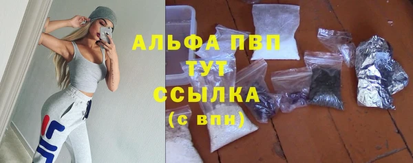 ешки Белокуриха