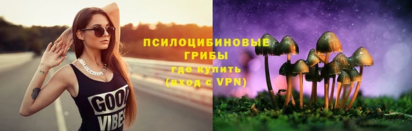 a pvp Беломорск