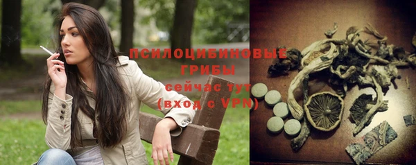 a pvp Беломорск